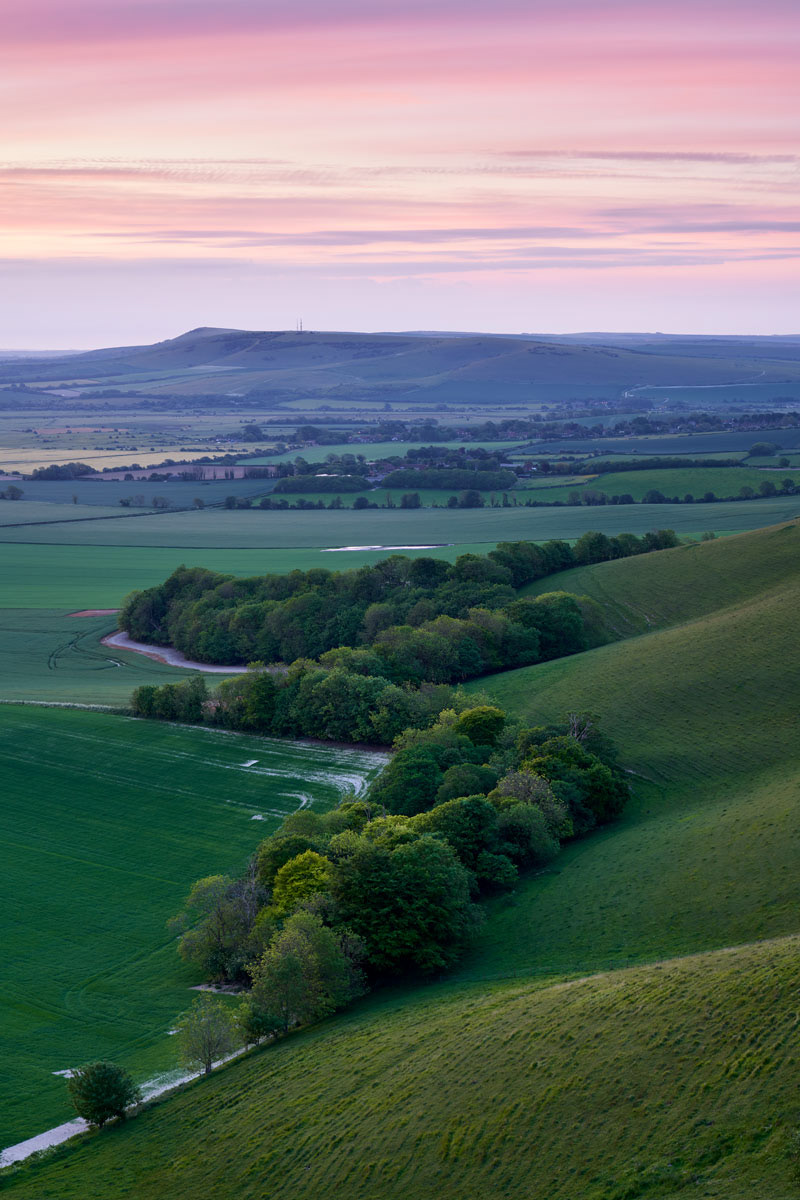 Pink sunrise glows over Sussex Downs