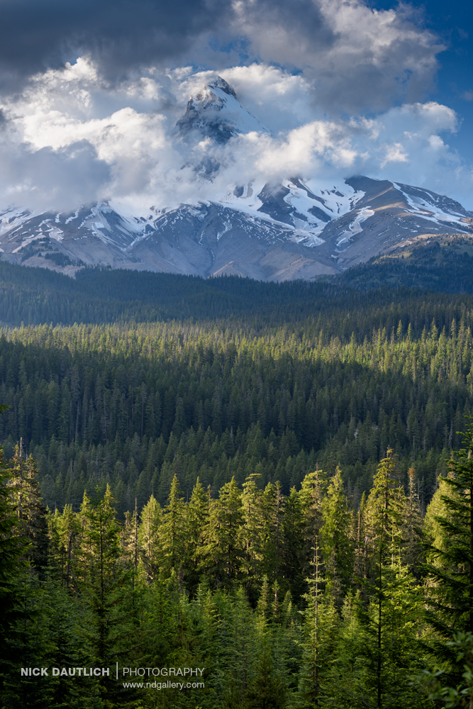 The wilderness with mountain shrouded in clouds behind vast forest in Oregon