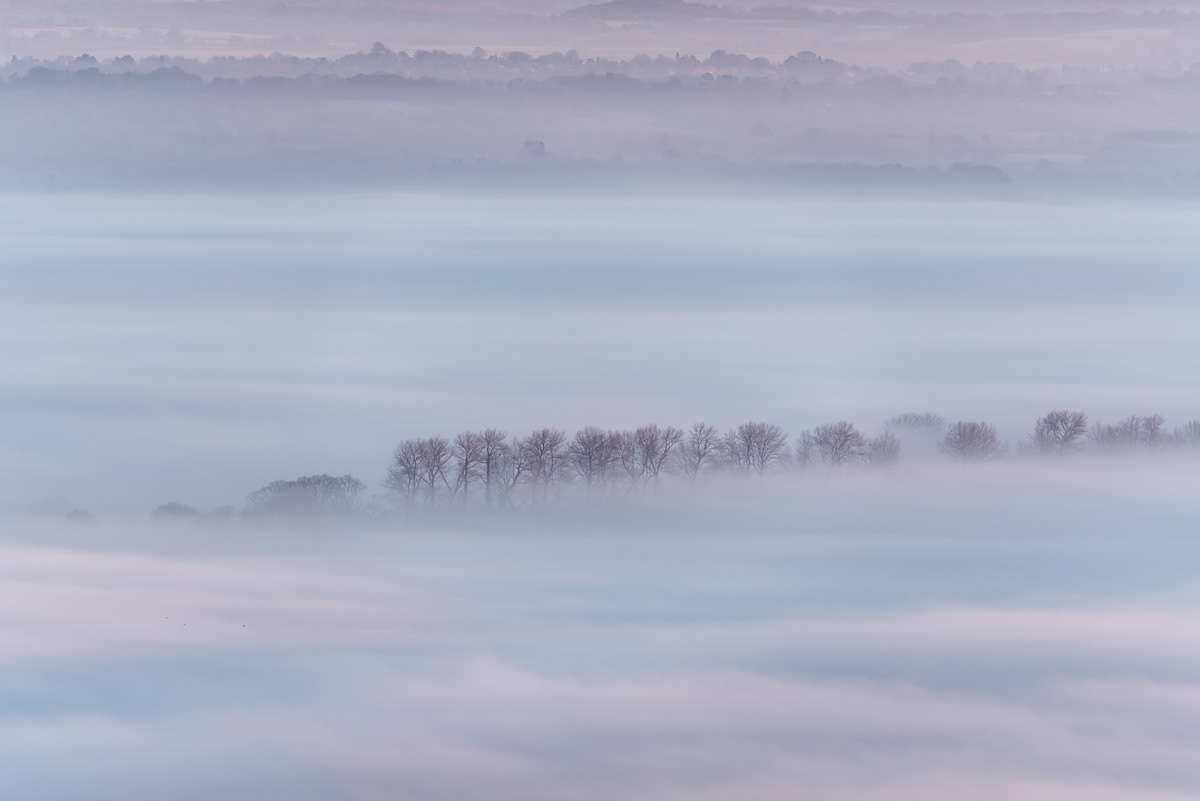 Misty sunrise in Sussex