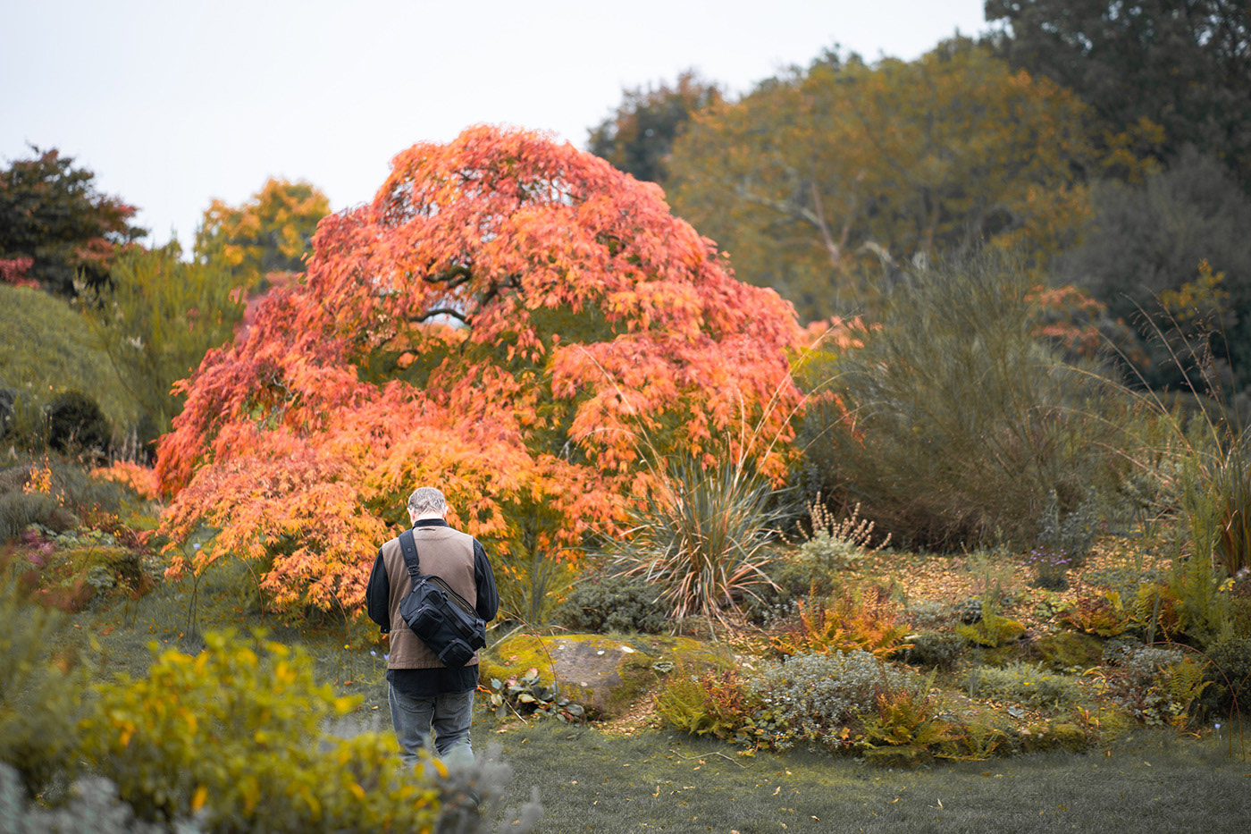 Capturing autumn colours with the camera bag
