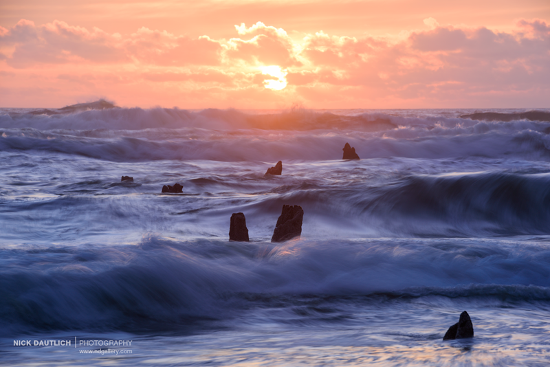 Petrified trees protrude from the ocean in Oregon