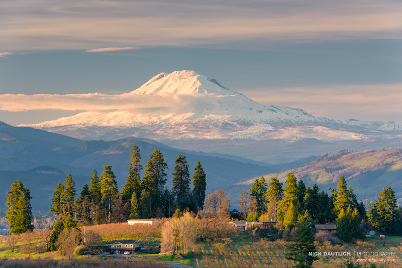 Mount Adams behind rural farm scene during last light