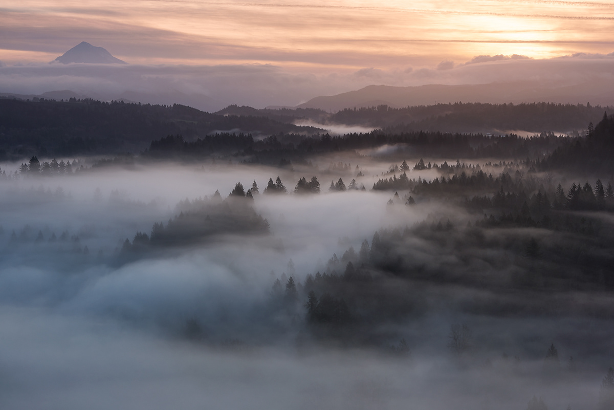Dense fog around mountain forests during sunrise