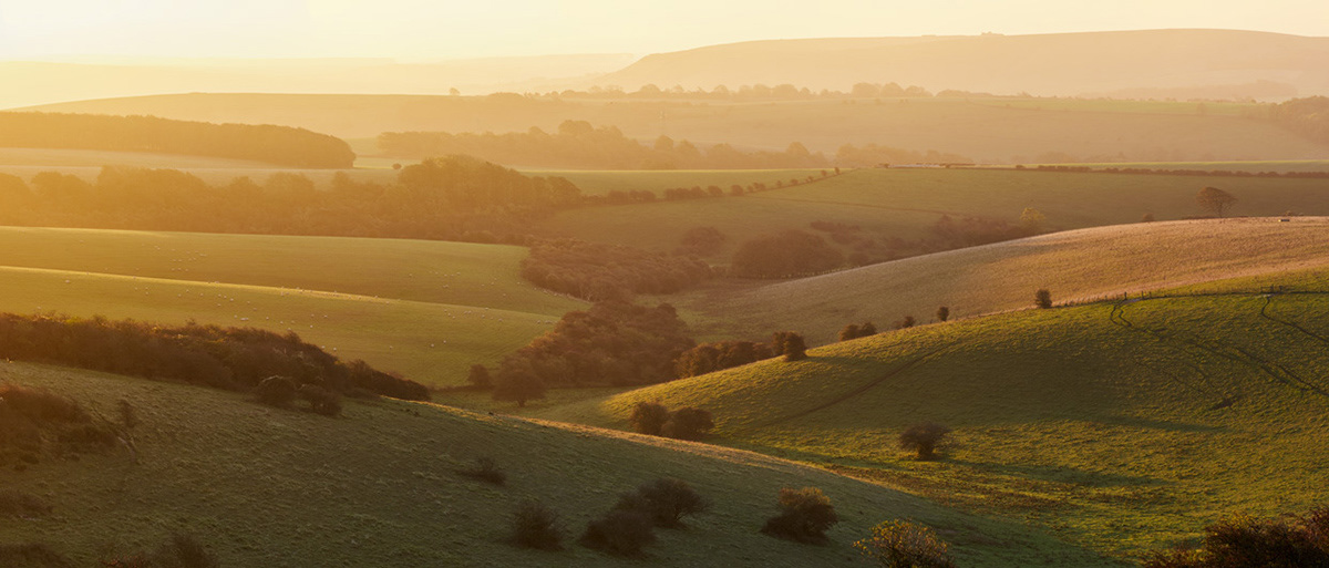 Morning light falls on rolling Sussex hills