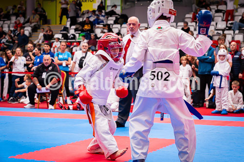 20250517-DSC01008.dng