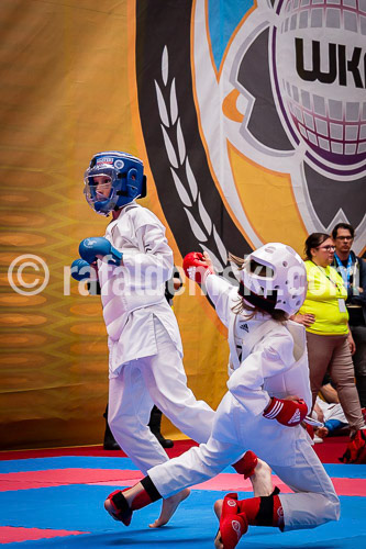 20250517-DSC00830.dng