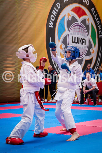 20250517-DSC00609.dng