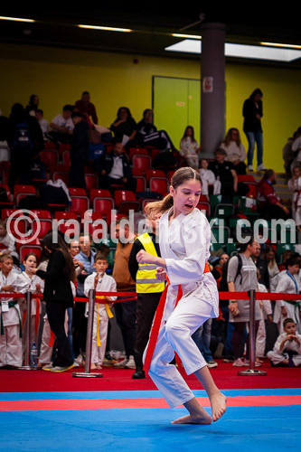 20250517-DSC09408.dng