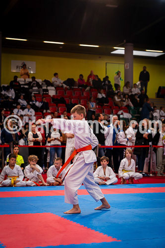 20250517-DSC09514.dng