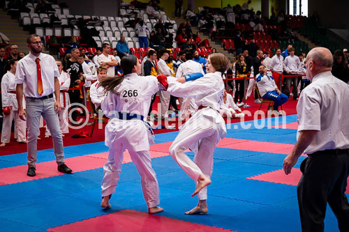 20250518-DSC02966.dng