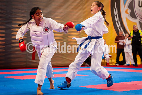 20250517-DSC01547.dng