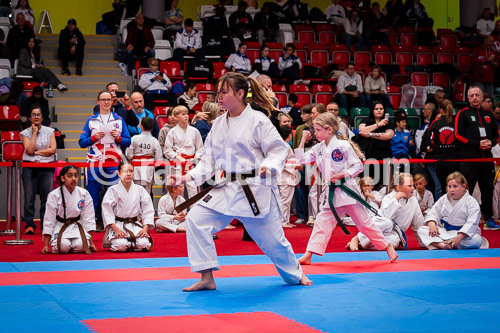 20250517-DSC09260.dng