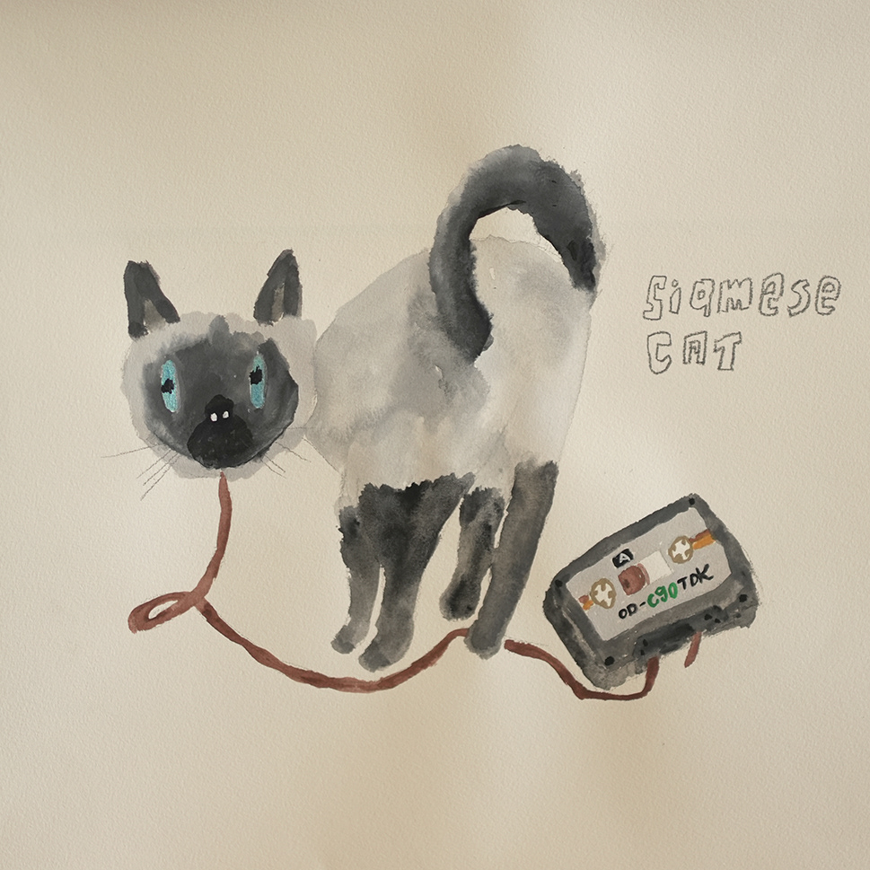 DOGSCATSten