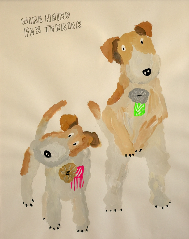 DOGSCATSten