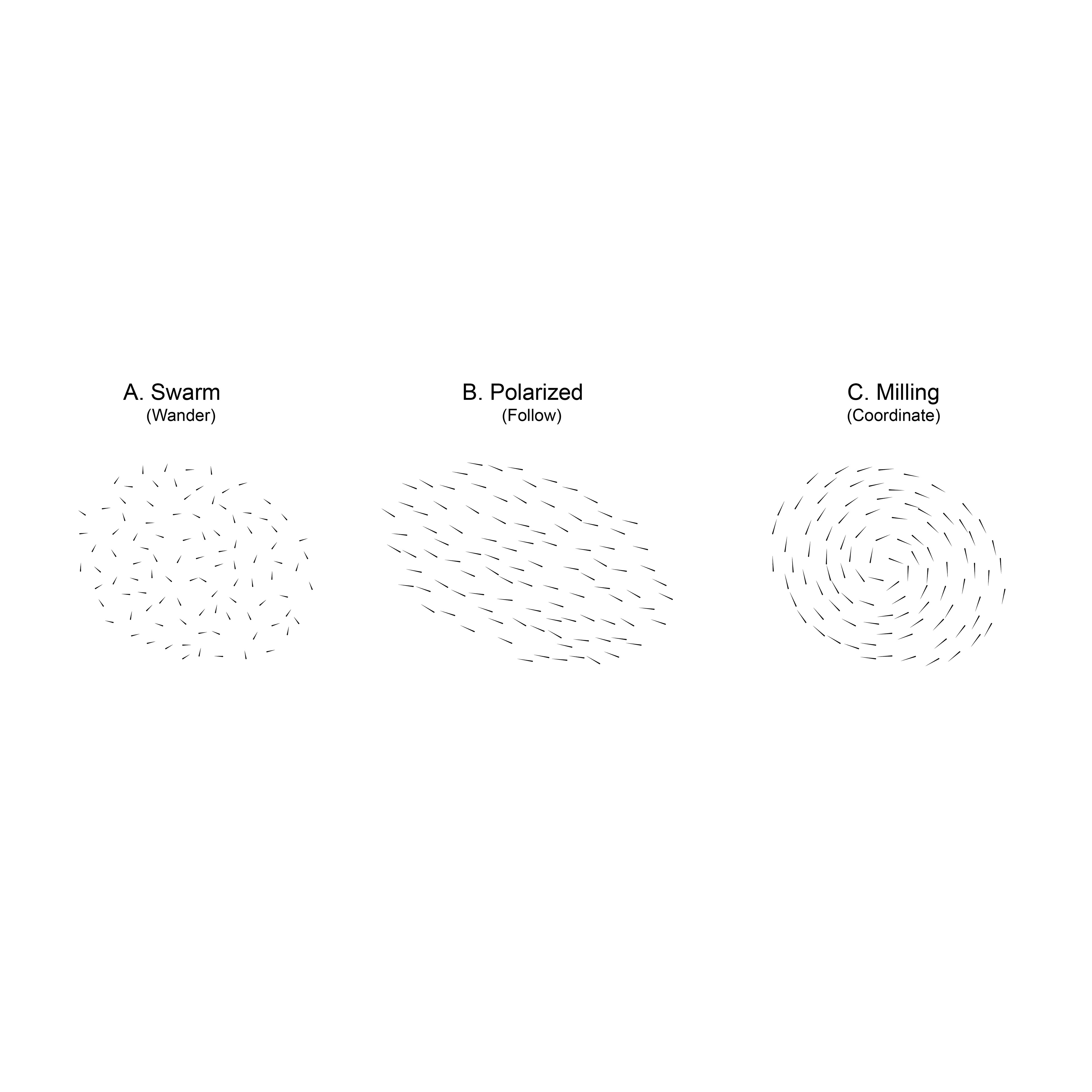 Swarm behavior types