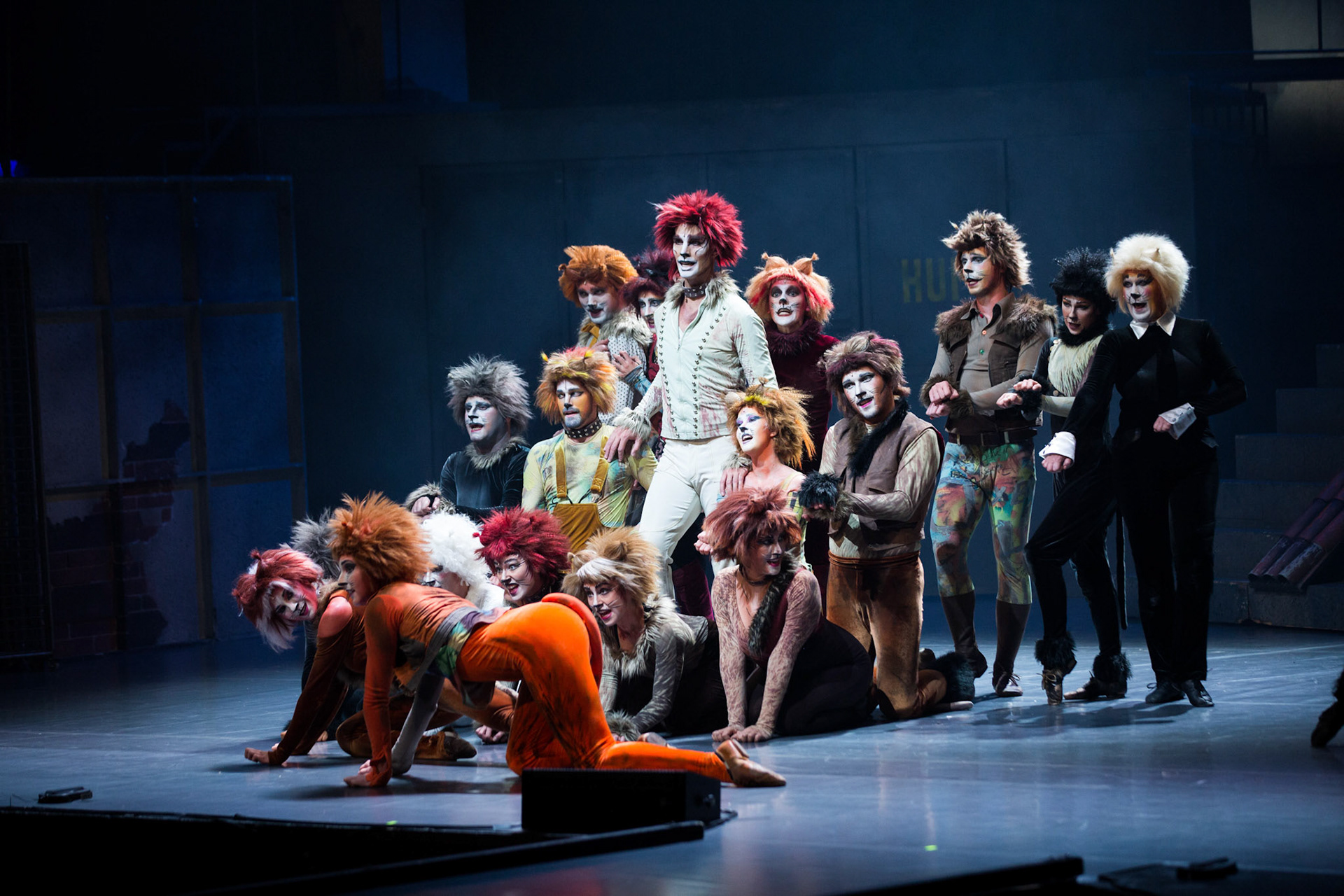 Národní divadlo Moravskoslezské - CATS