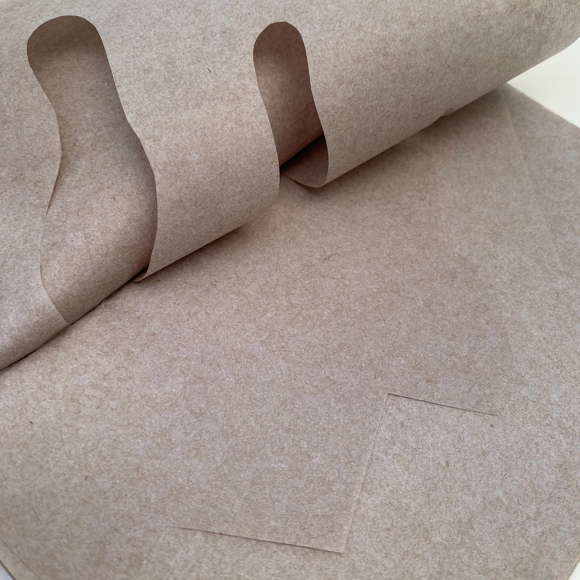 Cut Out Book inspired by Bruno Munari's work
