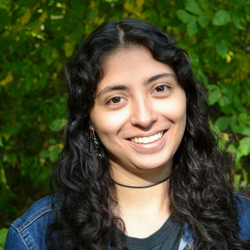 Black hair olive skin female wearing a denim with a green area background.