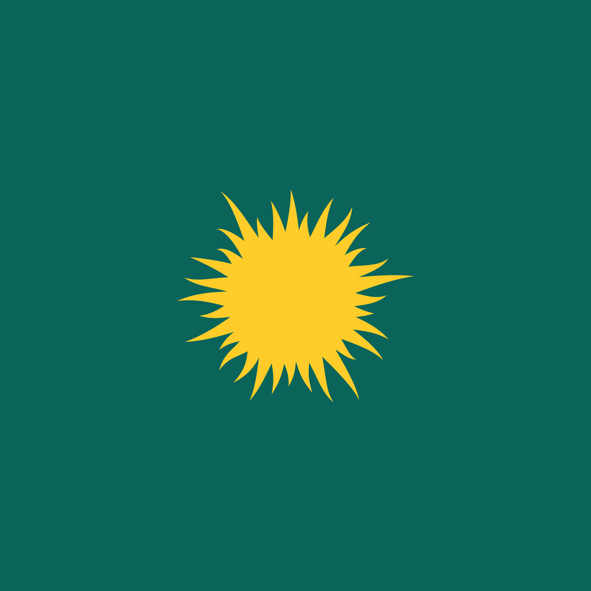Sunny