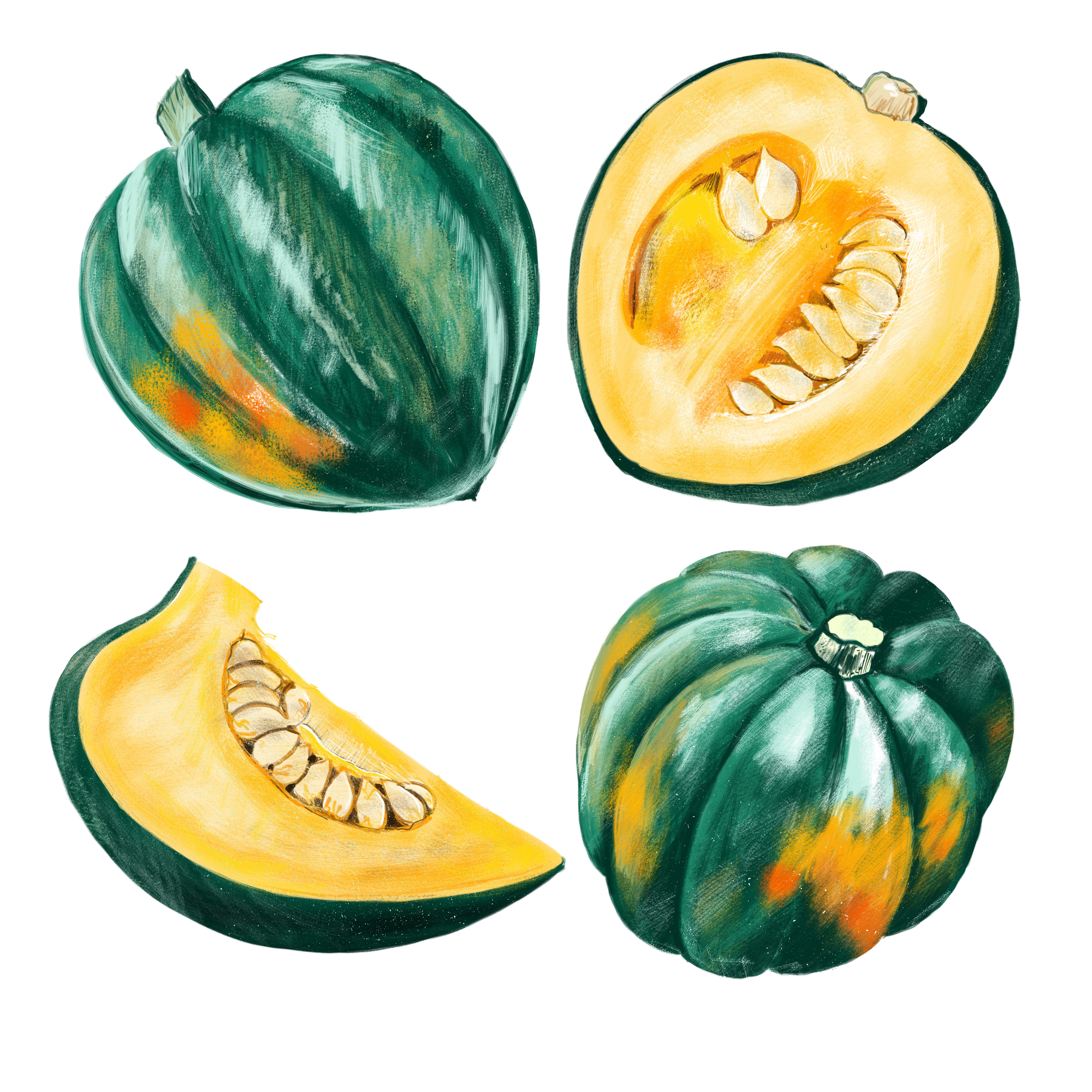 Food Illustration Cornwall