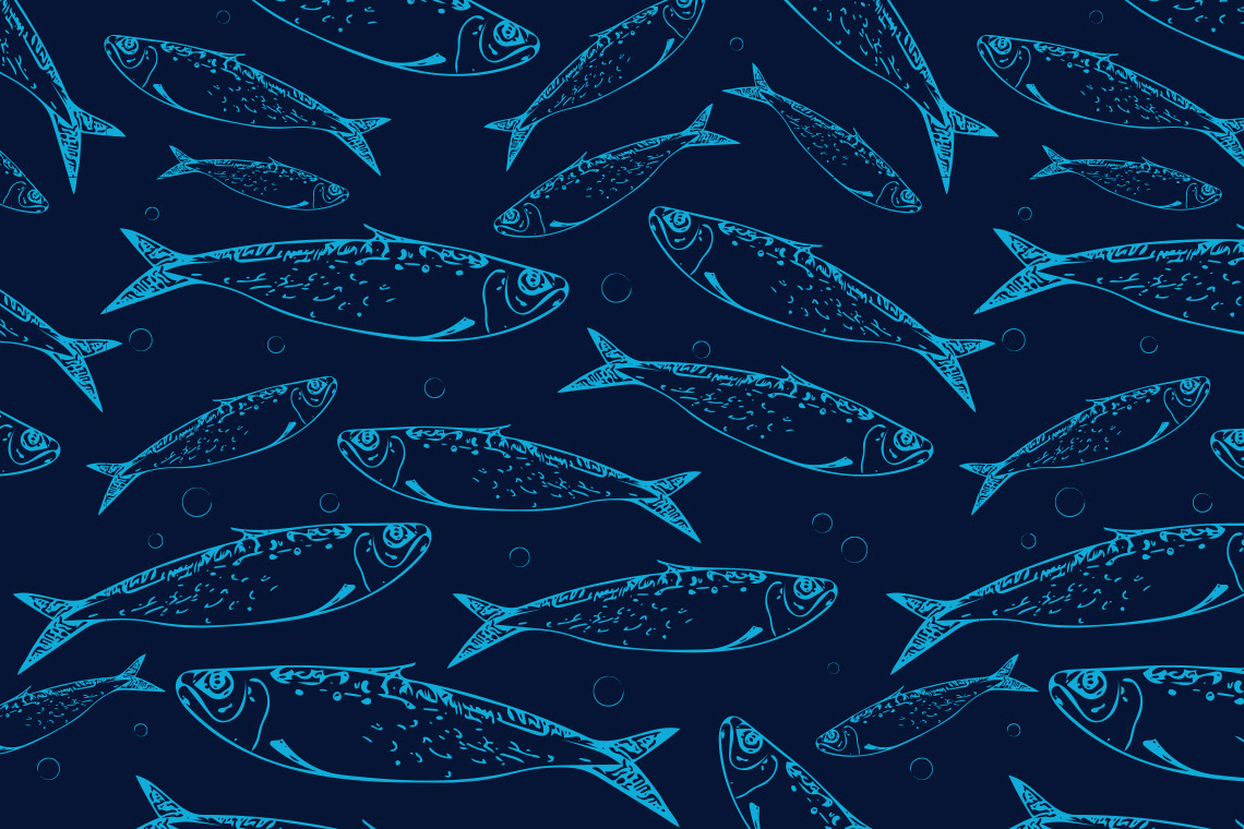 Mackerel Surface Pattern Design by Sarah Whittle Illustration, Cornwall