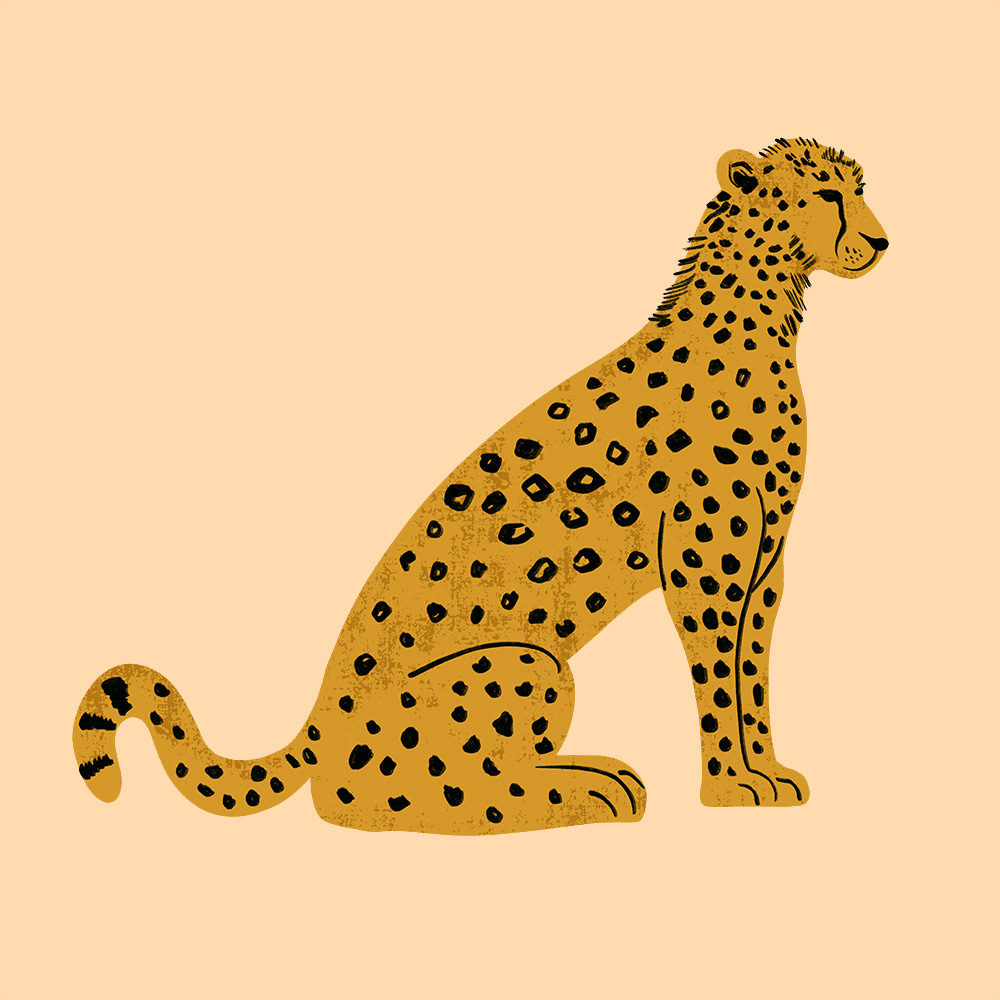 Леопарды мини иллюстрация