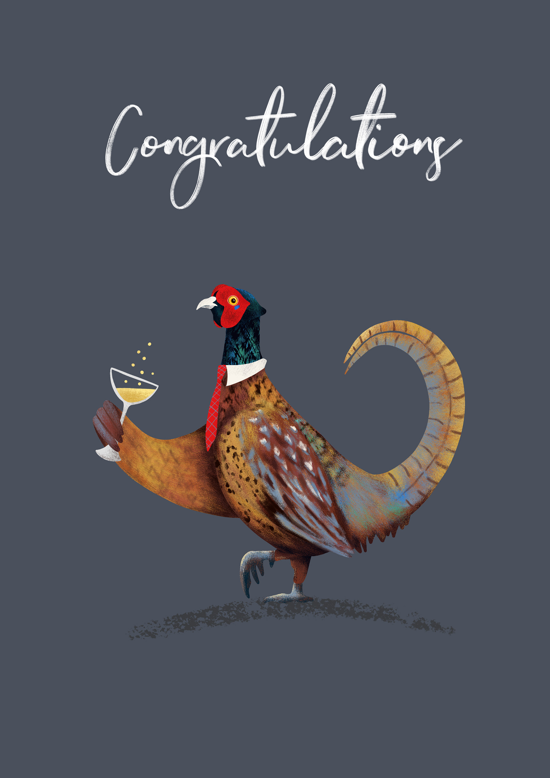 Pheasant Greeting Card Illustration by Sarah Whittle Illustration