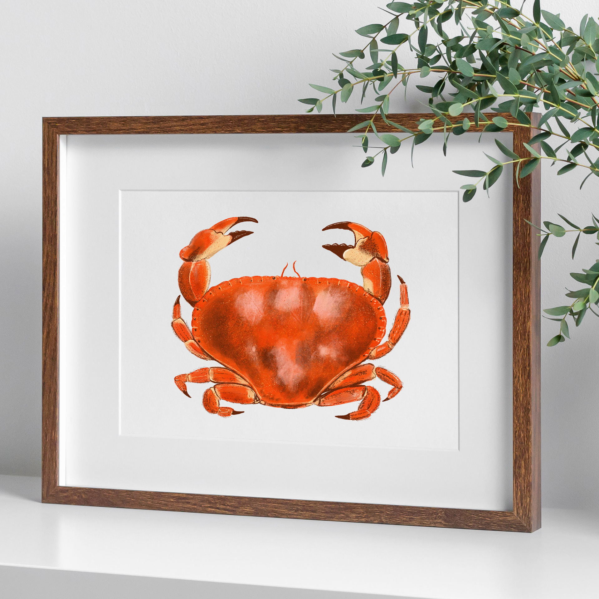 Red Crab Art Print by Sarah Whittle Illustration, Cornwall