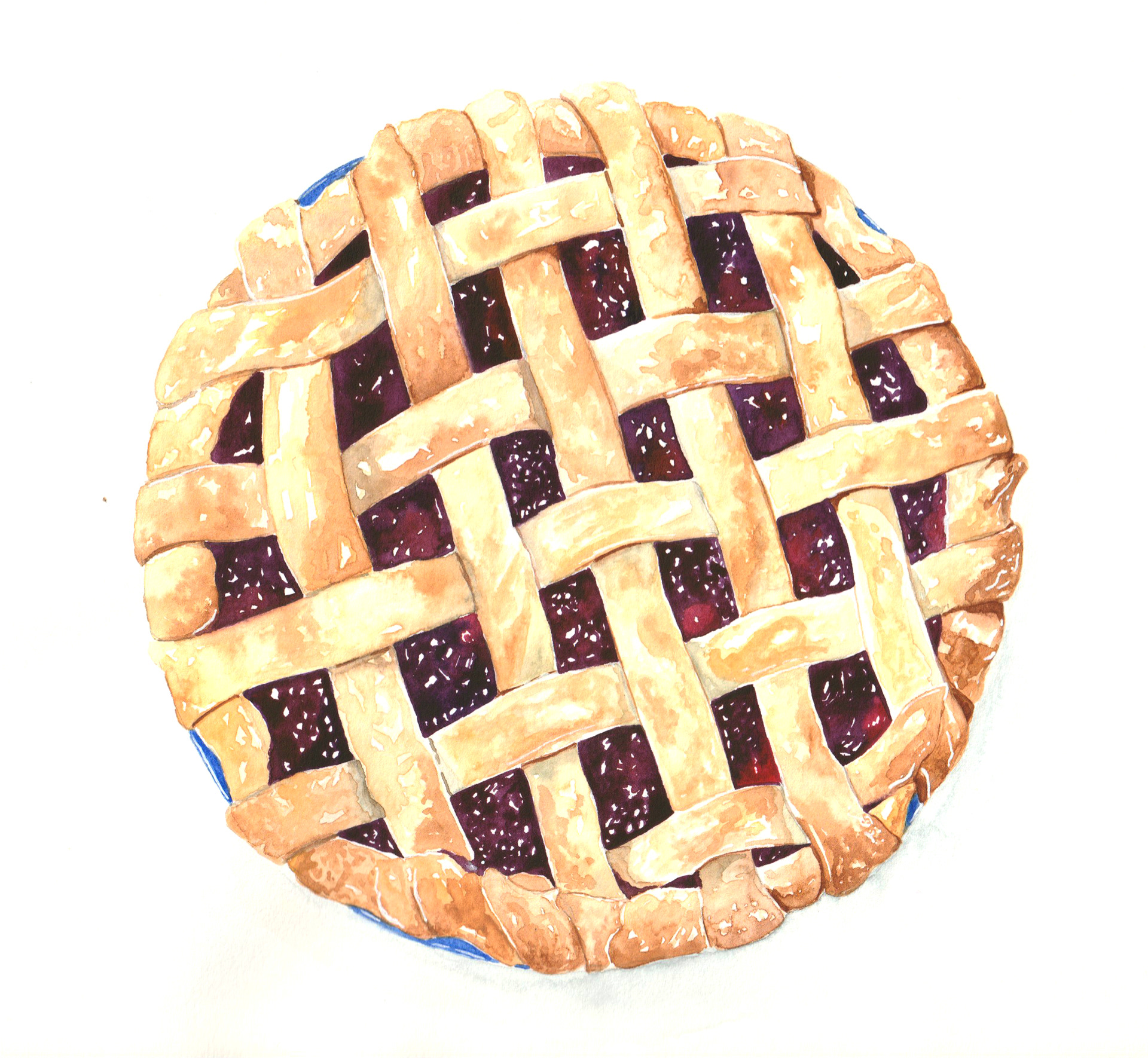 Watercolour Illustrations Cornwall