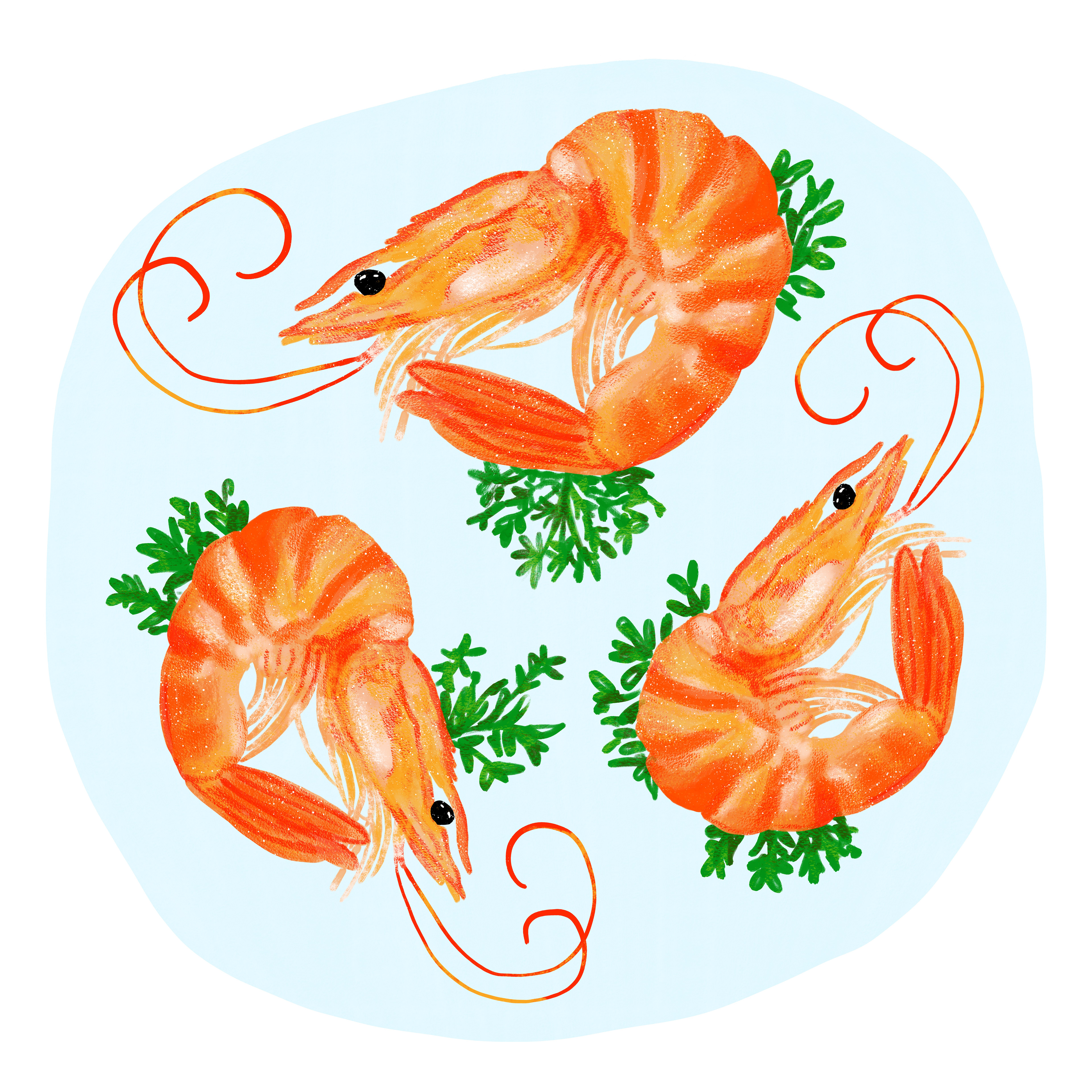 Food Illustration Cornwall