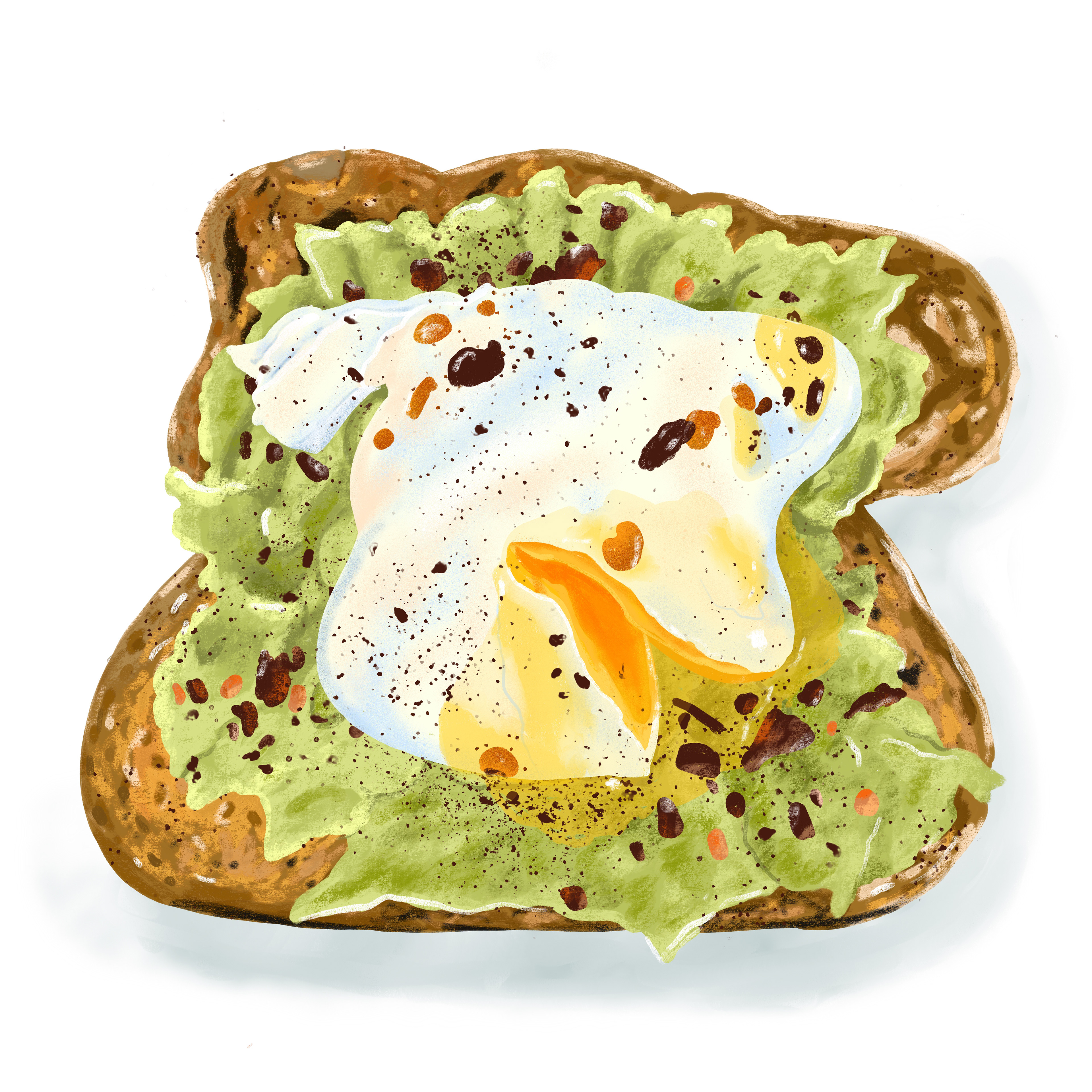 Food Illustration Cornwall
