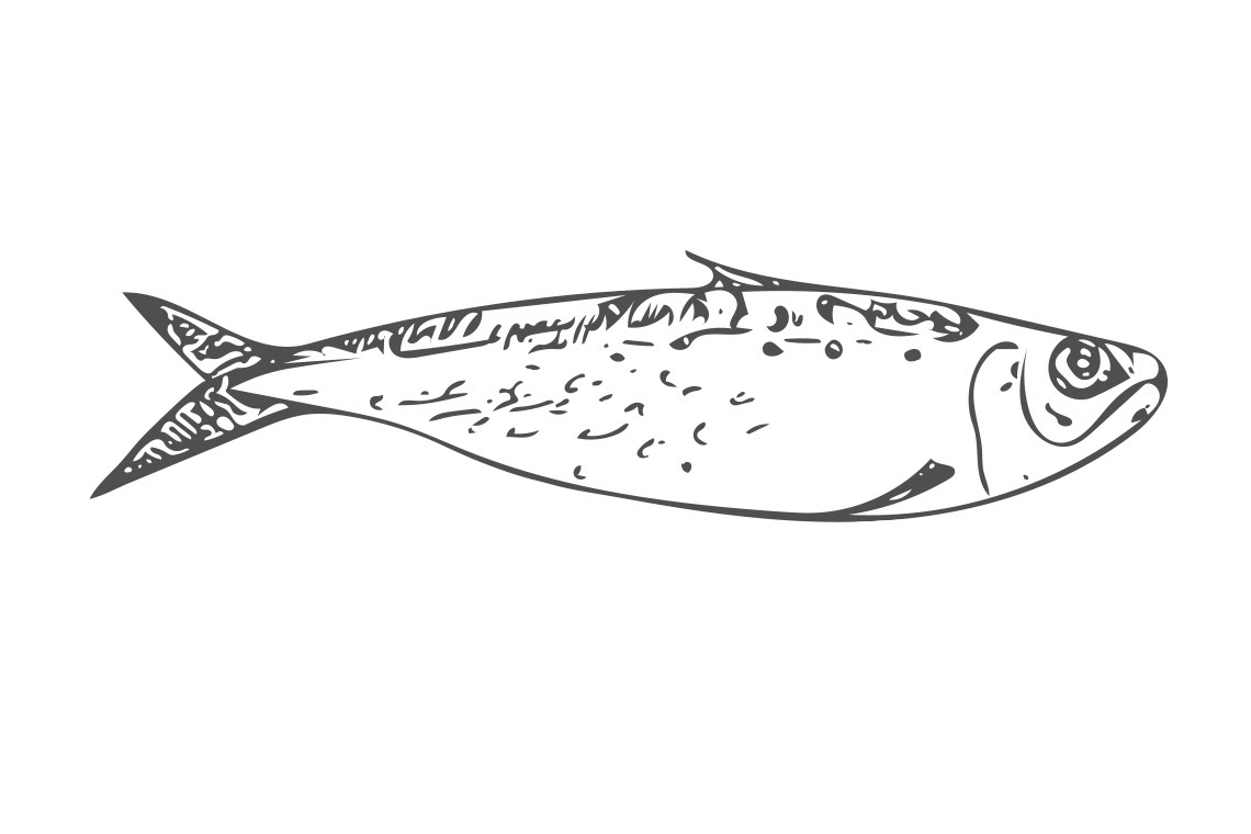 Mackerel Surface Pattern Design by Sarah Whittle Illustration, Cornwall