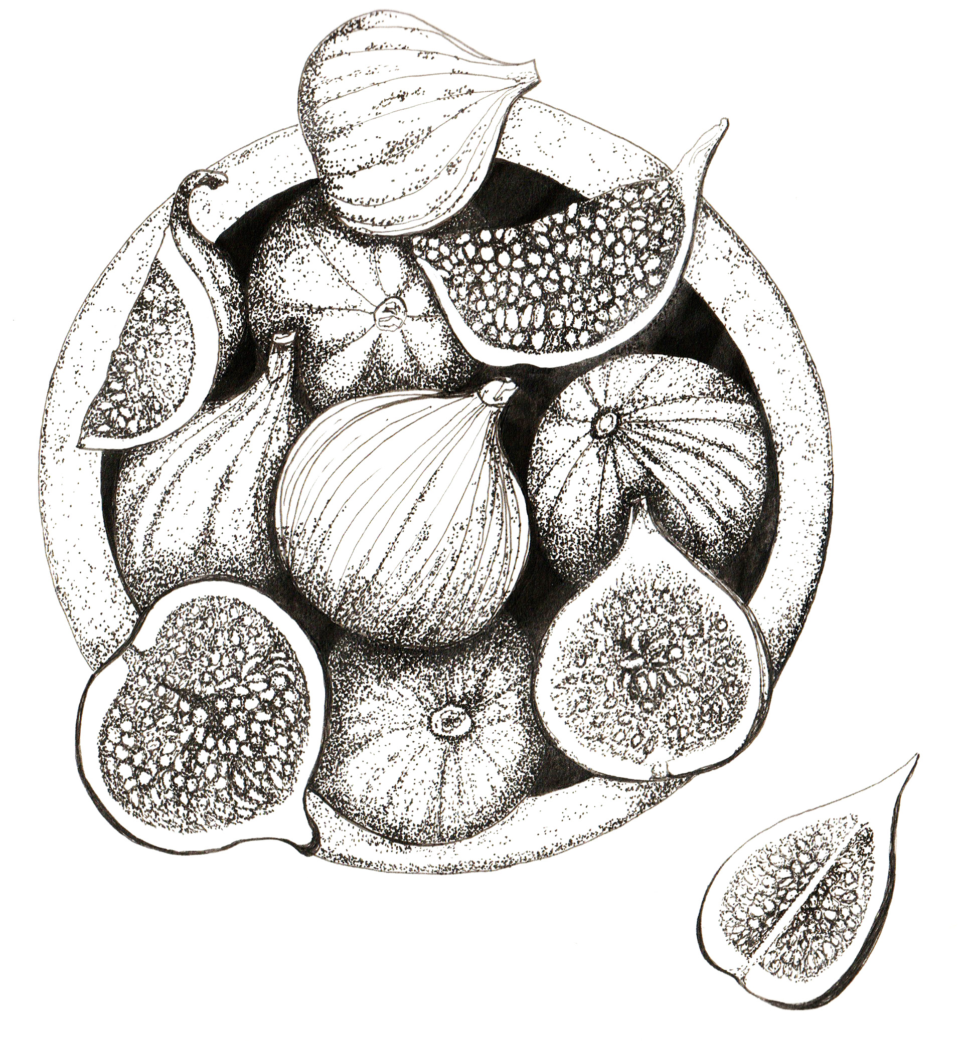 pen and ink food illustration, Sarah Whittle,  Cornwall, UK