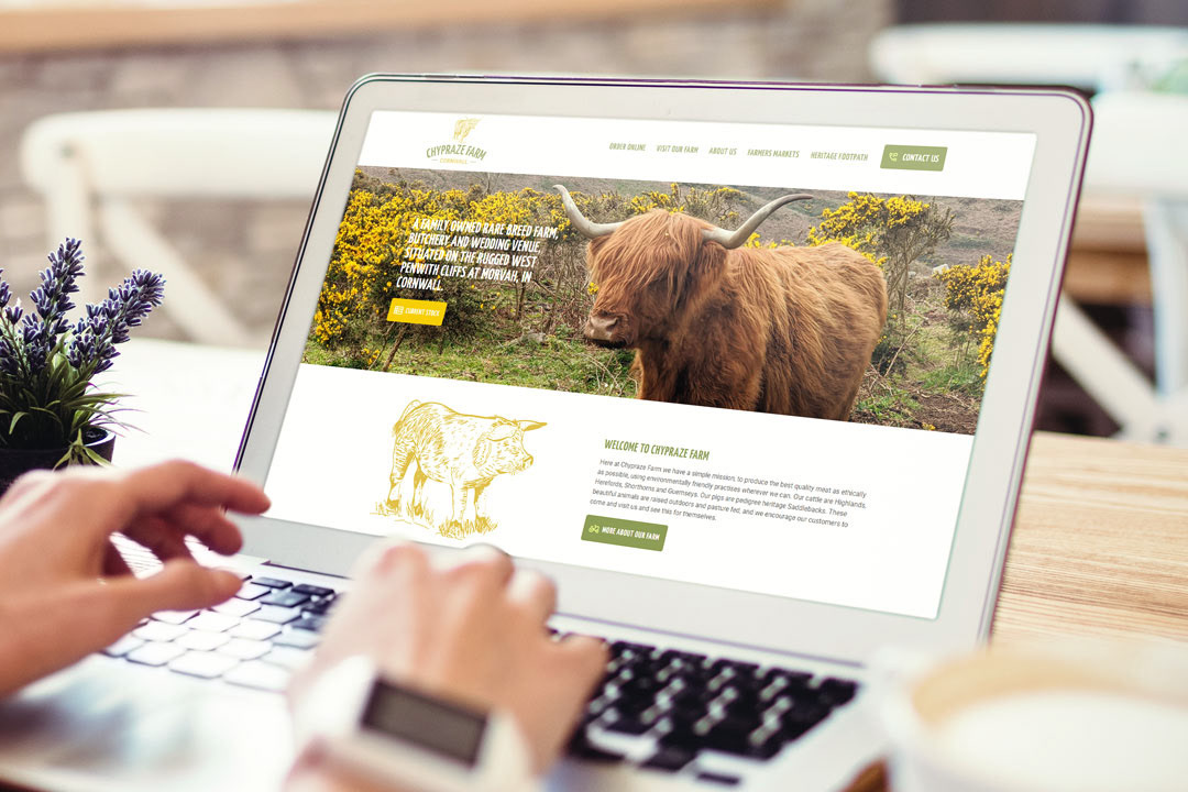 Website illustrations for Chypraze Farm