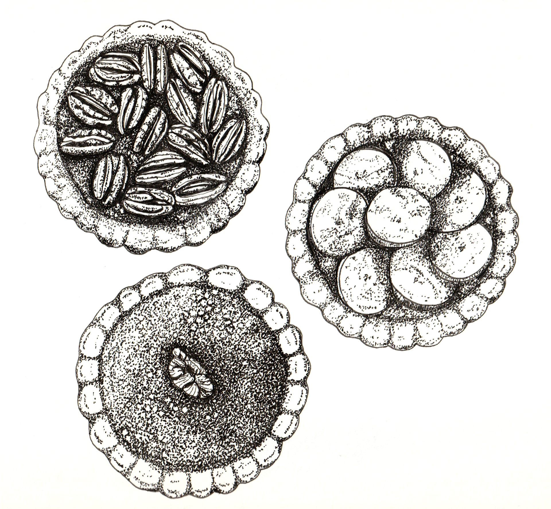 pen and ink food illustration, Sarah Whittle,  Cornwall, UK