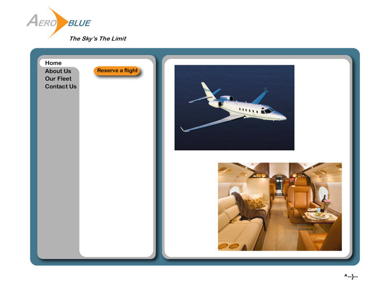 Website example