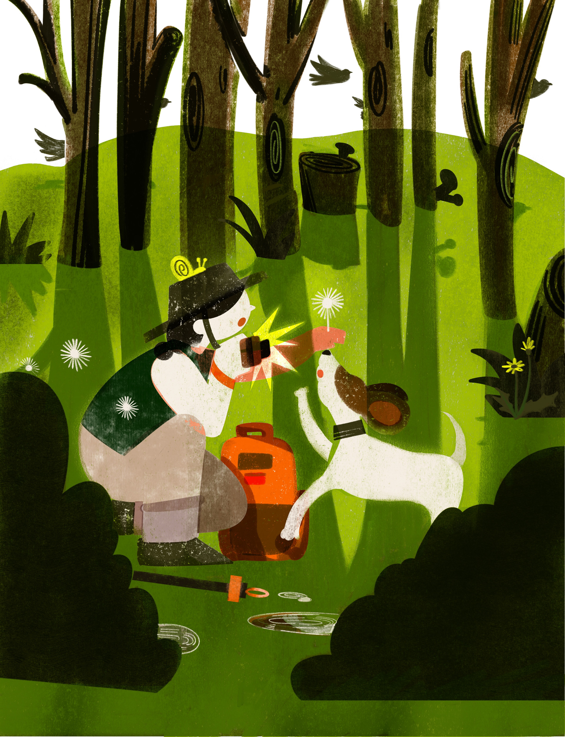 A Hidden Camera in the Woods 1, 2025