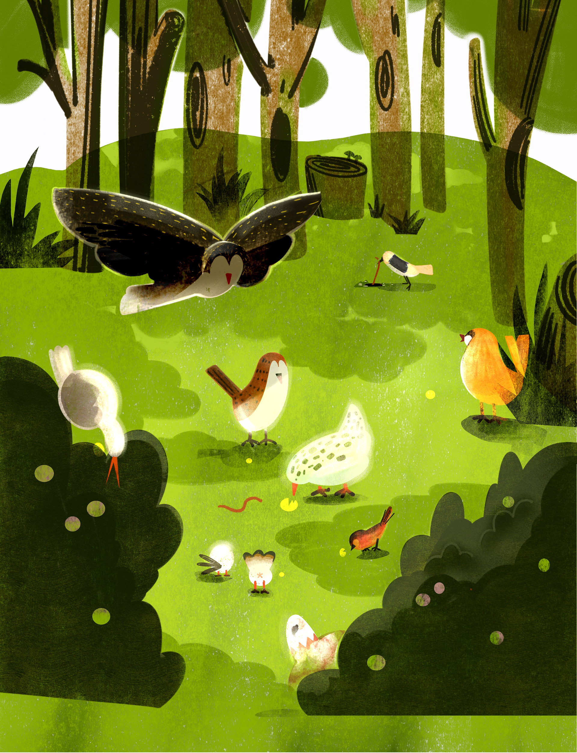 A Hidden Camera in the Woods 2, 2025