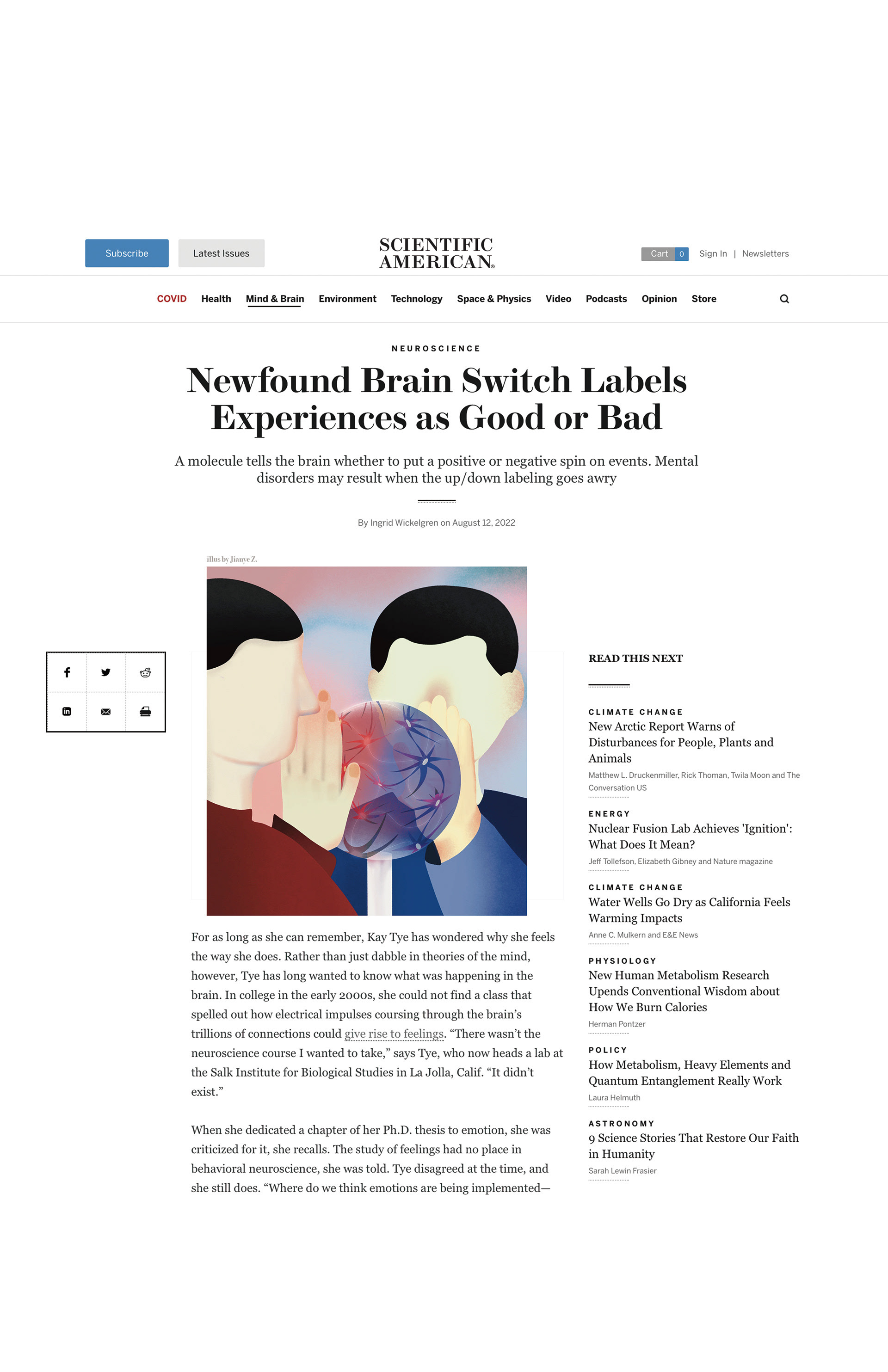 "Brain switch labels experiences as good or bad", editorial illustration, 2022