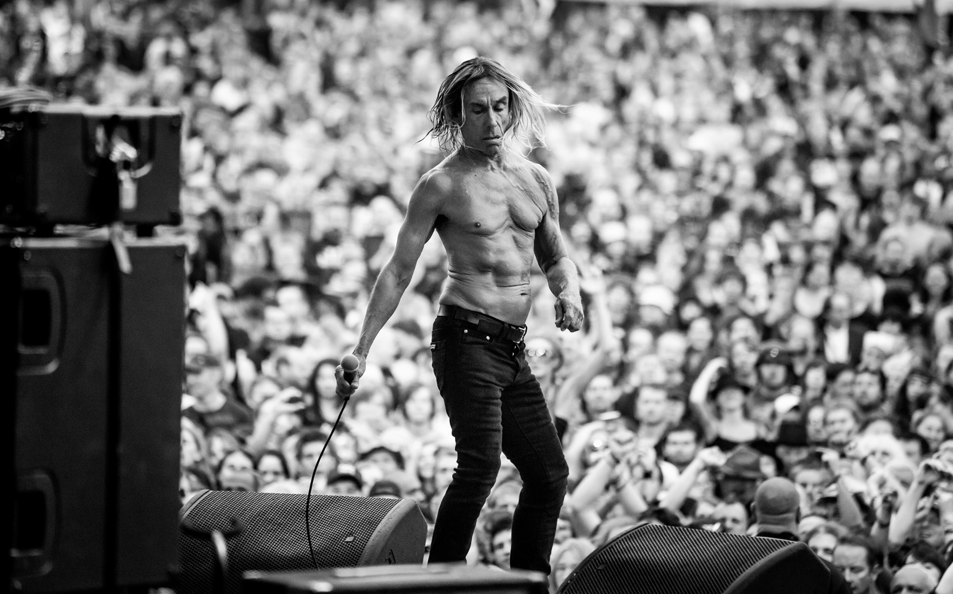 Iggy Pop