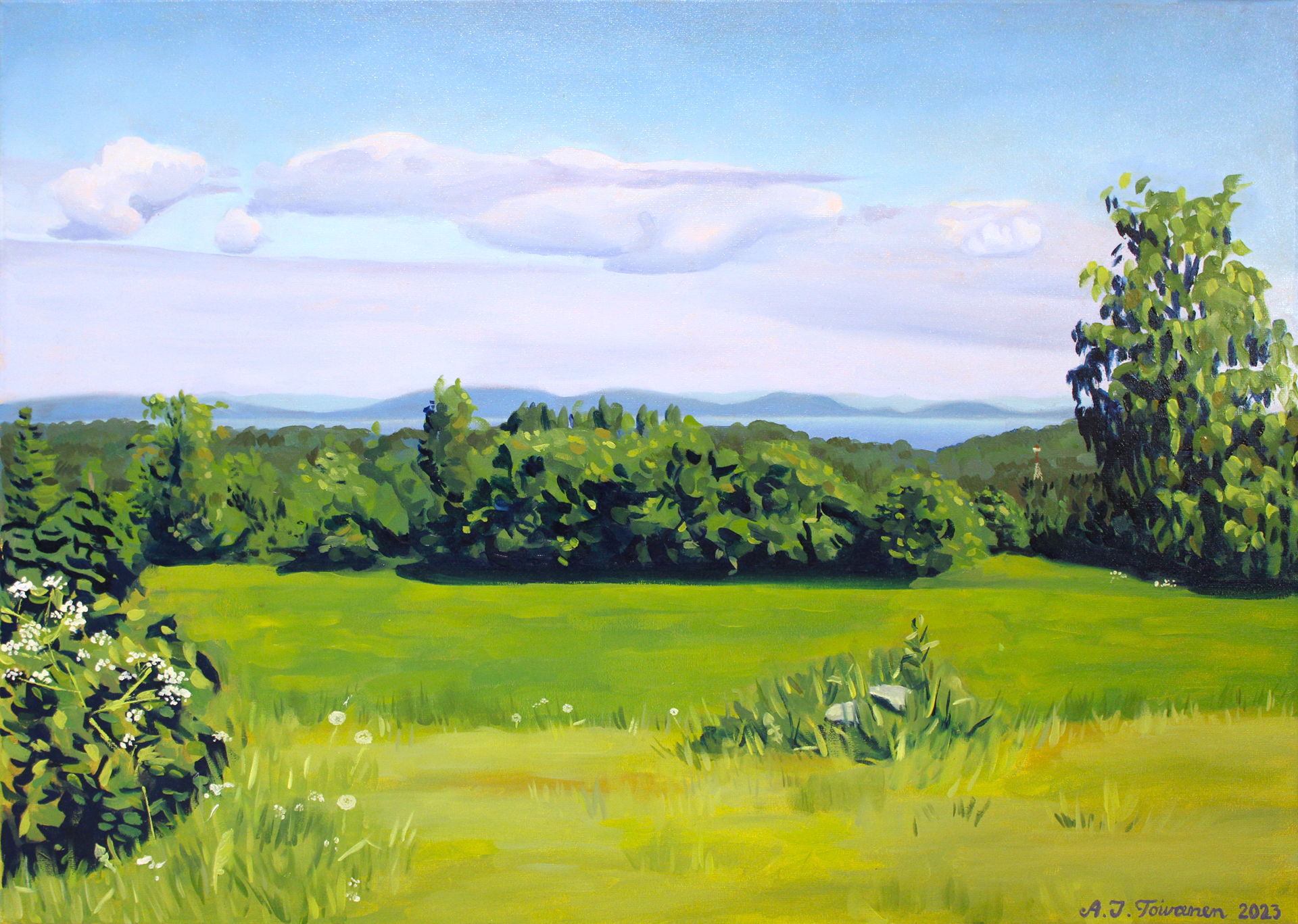 Landscape from Yläpiha. 2023. Oil on canvas. 70 x 50 cm. Commission.