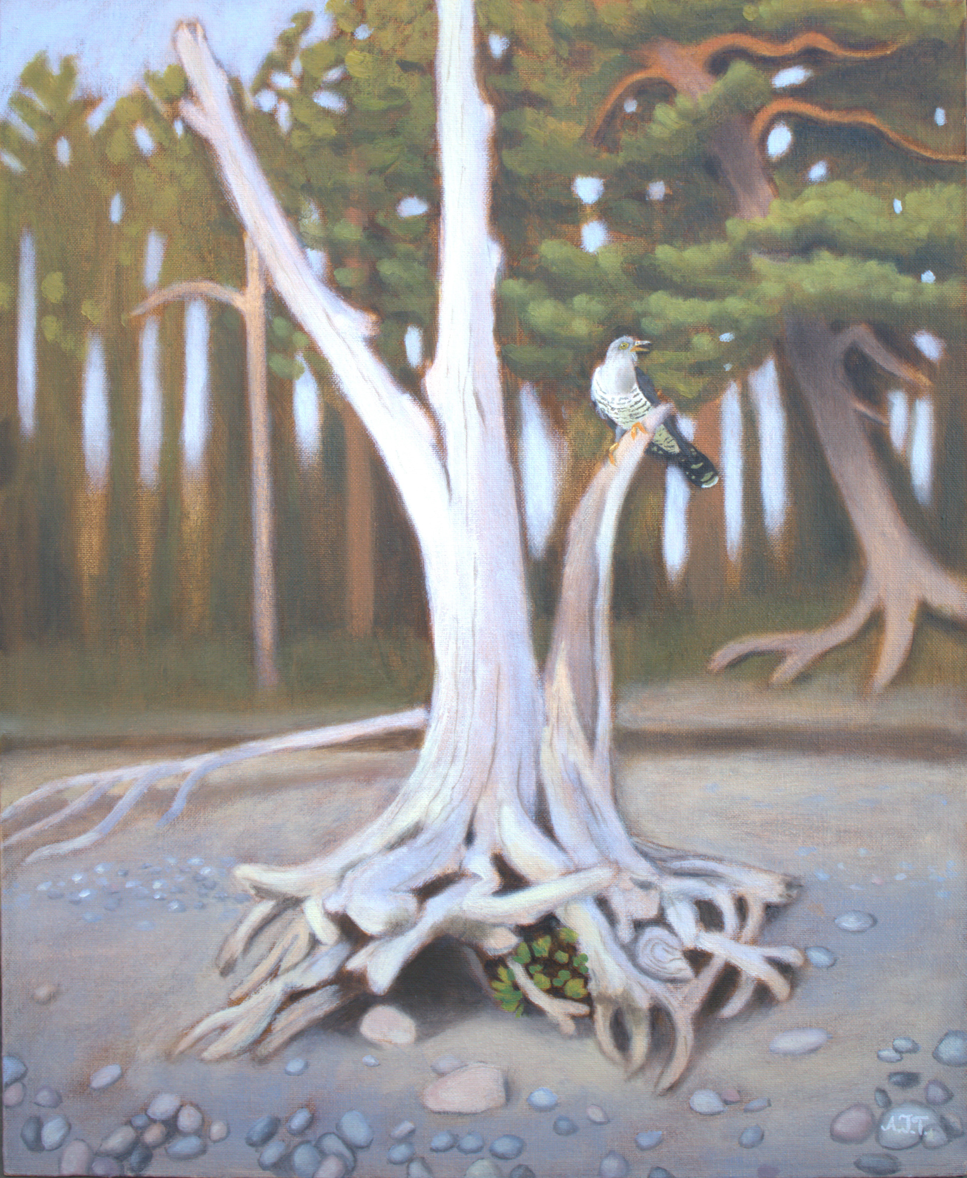 Birdsong for a Better Tomorrow. 2024. Oil on board. 61 x 50 cm.