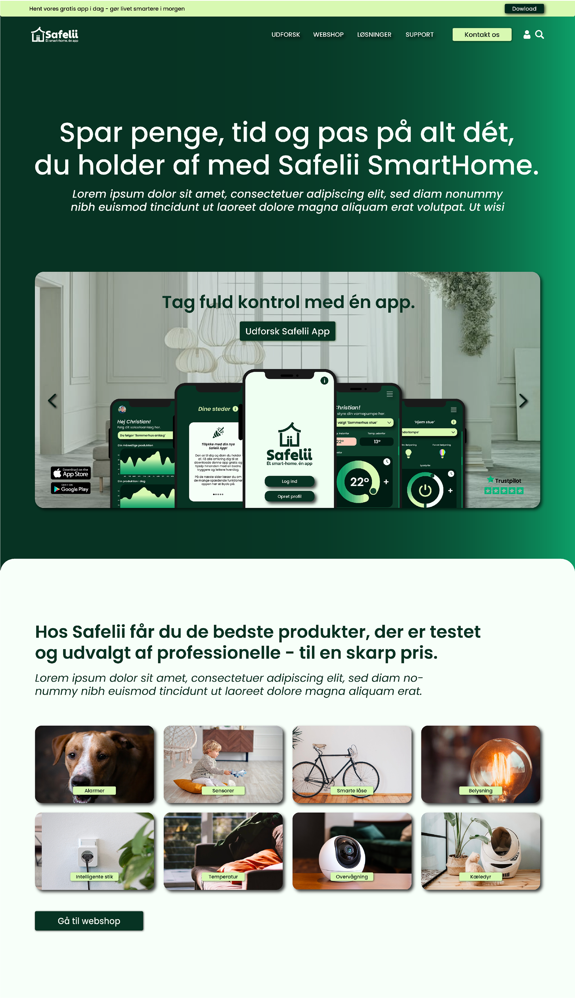 Website design