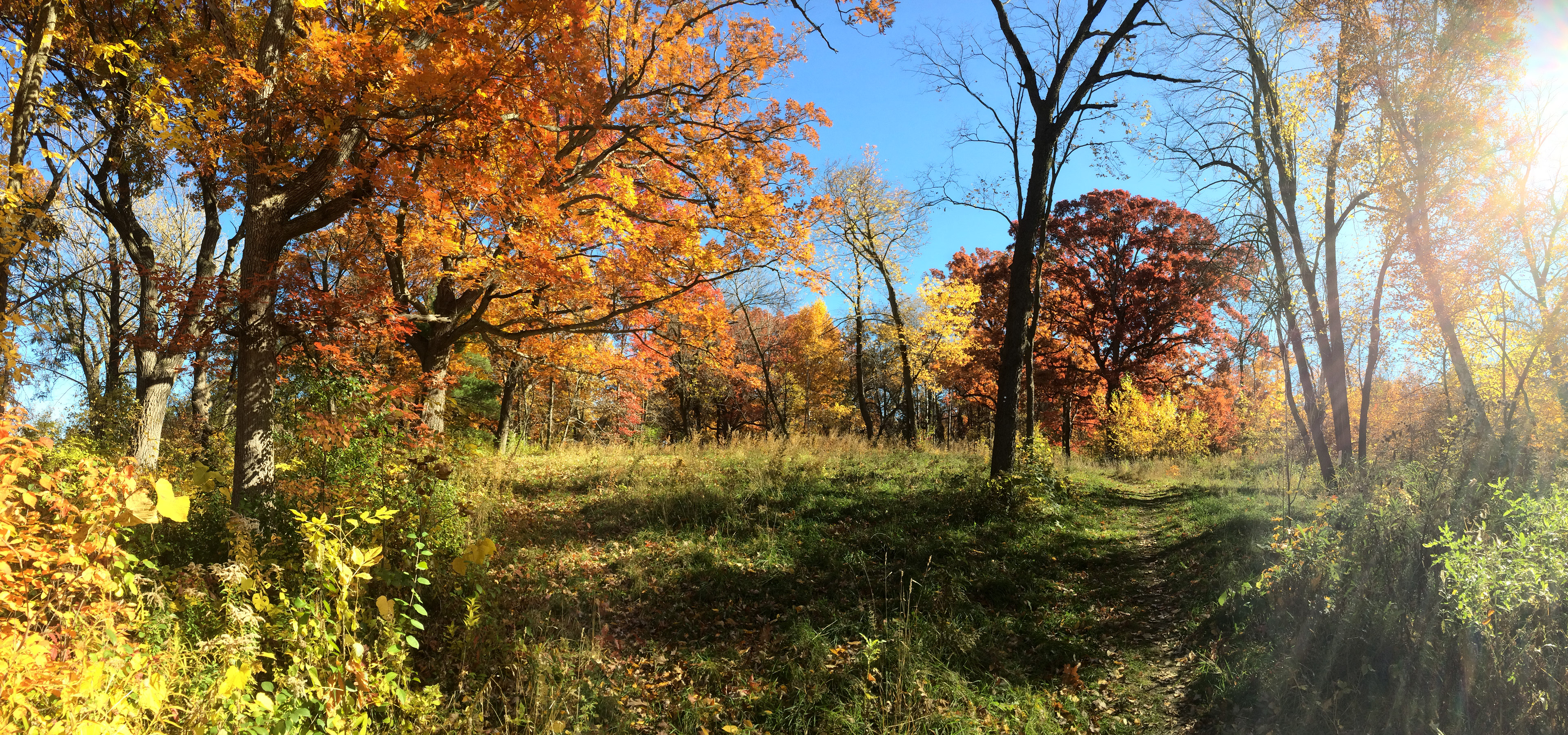 Theodore Wirth Park Autumn Foliage and Nature Photography Minneapolis