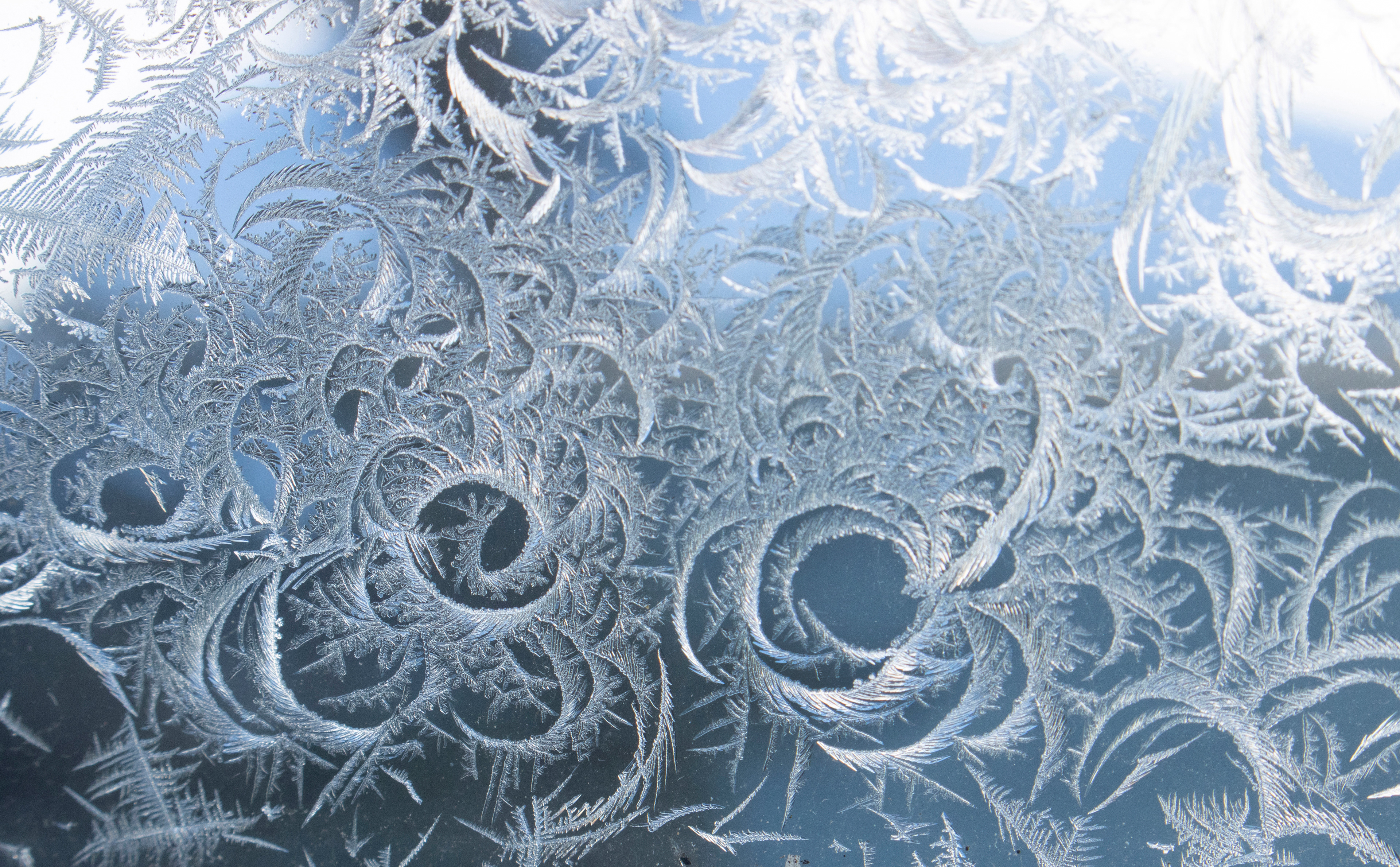Fine Art Nature Photography by John Hermansen Minneapolis | Winter Frost