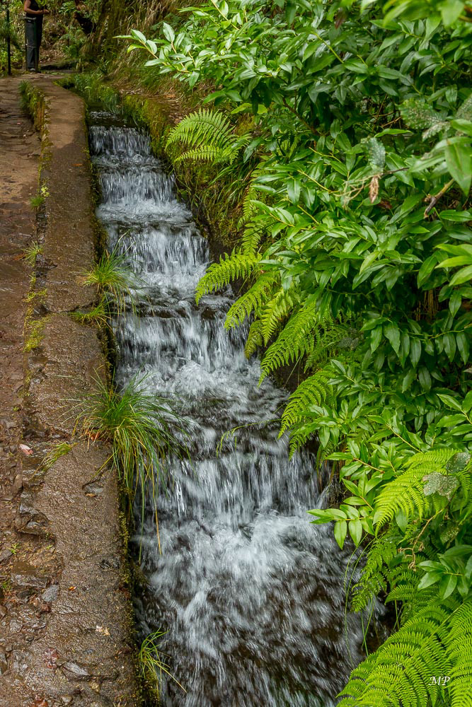Levada des 25 fontes