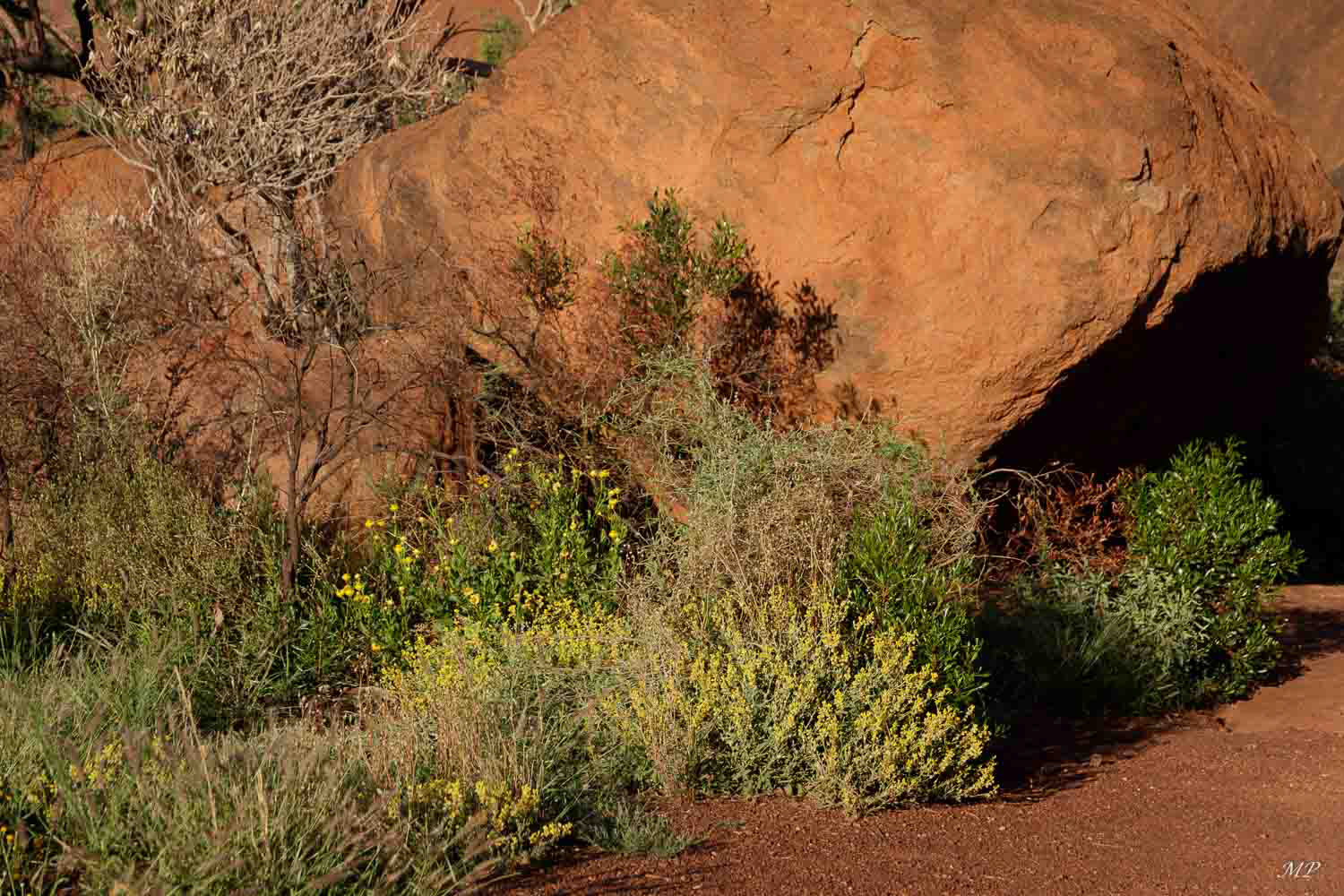 Uluru au lever du soleil