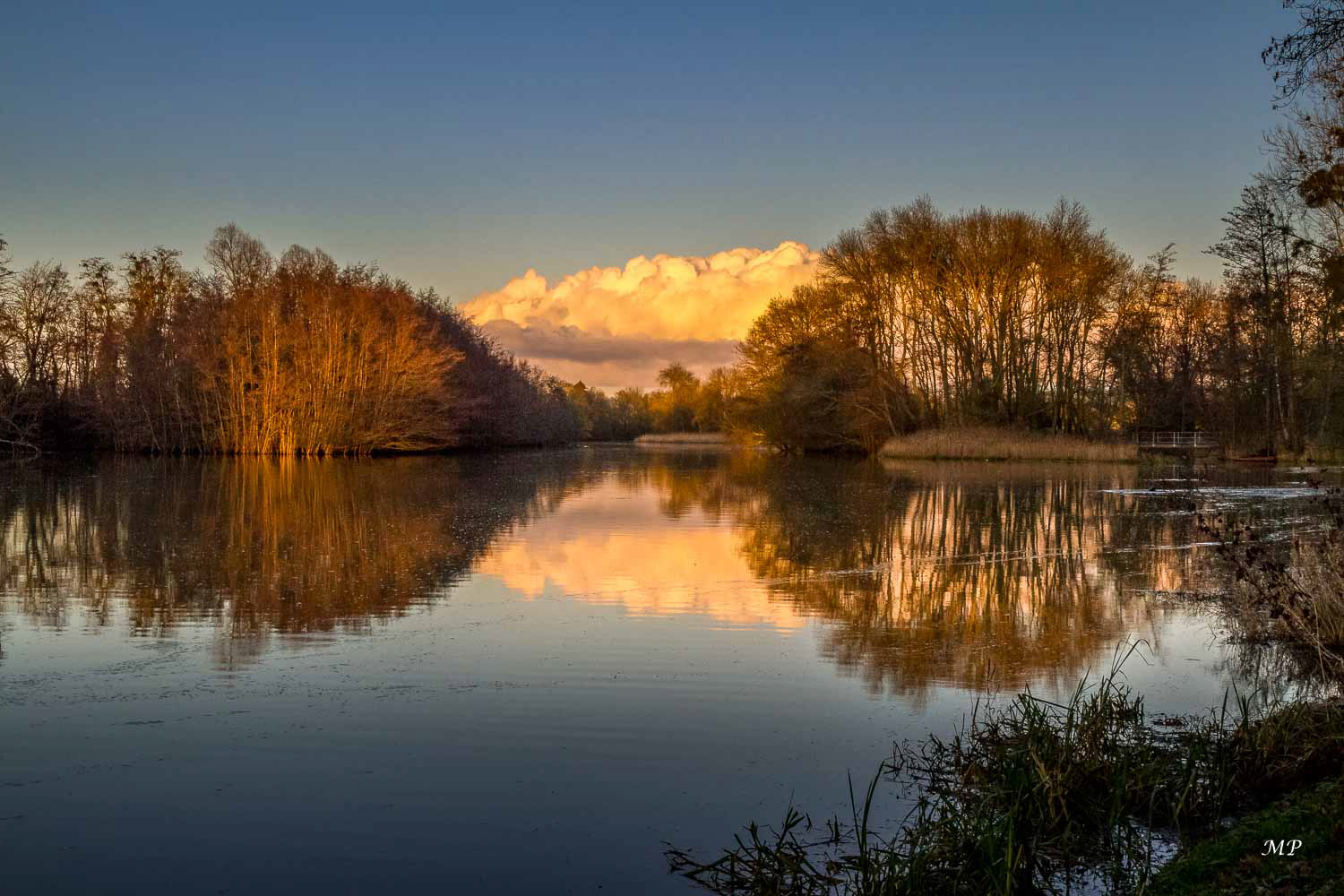 Le Loiret à Saint-Hilaire