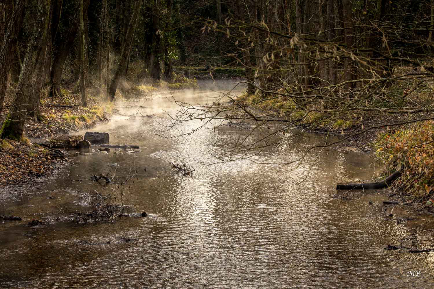 La Pie, confluent du Loiret, résurgence de la Loire à St-Hilaire