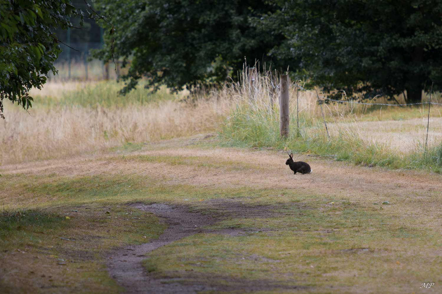 Ils étaient plus nombreux, il y a une vingtaine d'années...